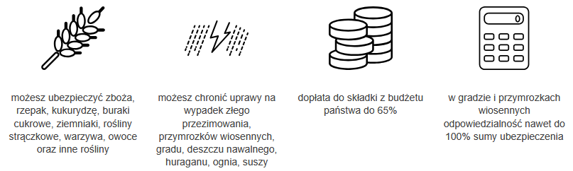 Ikony informacyjne